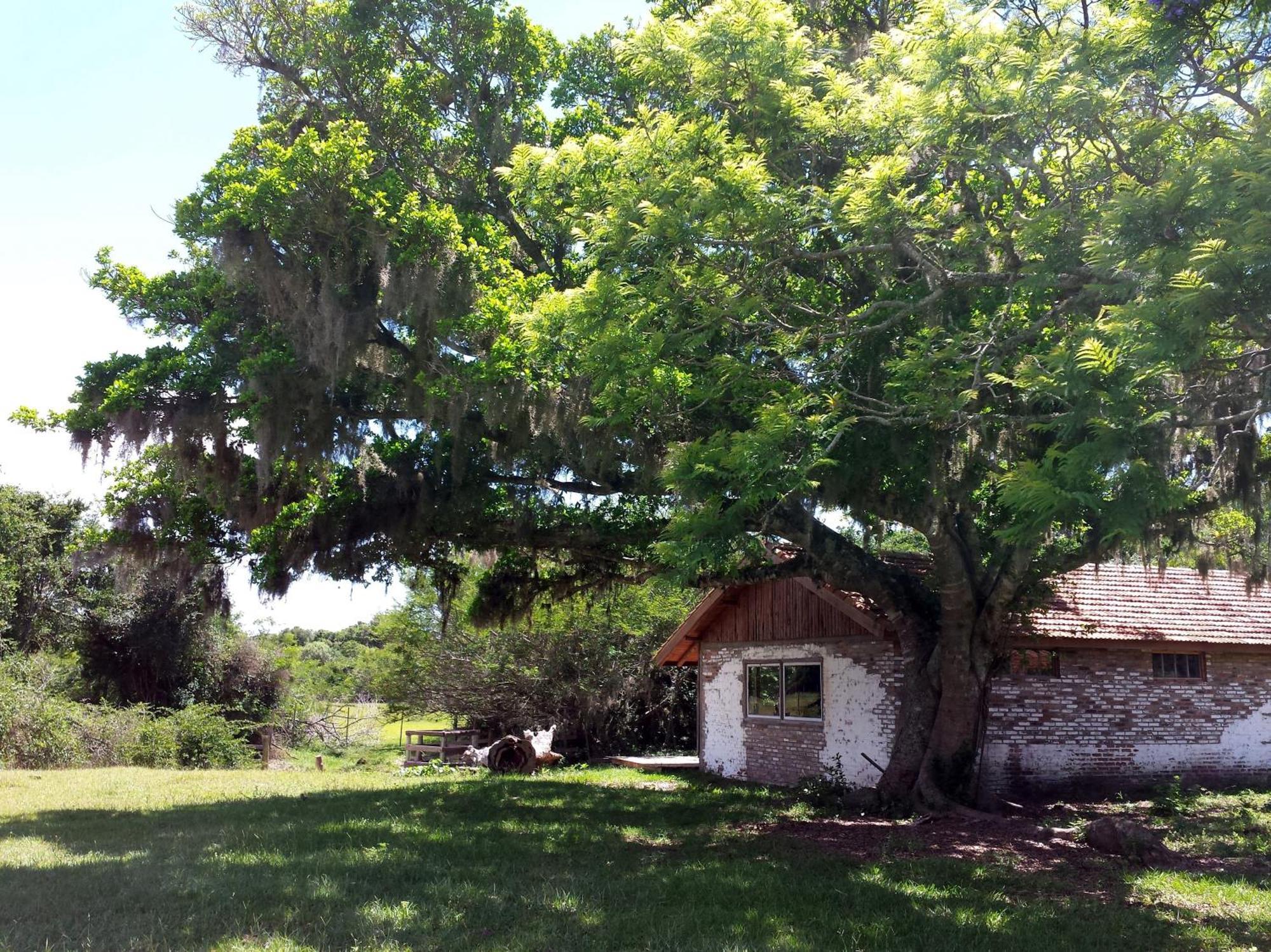 Aldeia Santuario Das Aves Tavares Rum bild