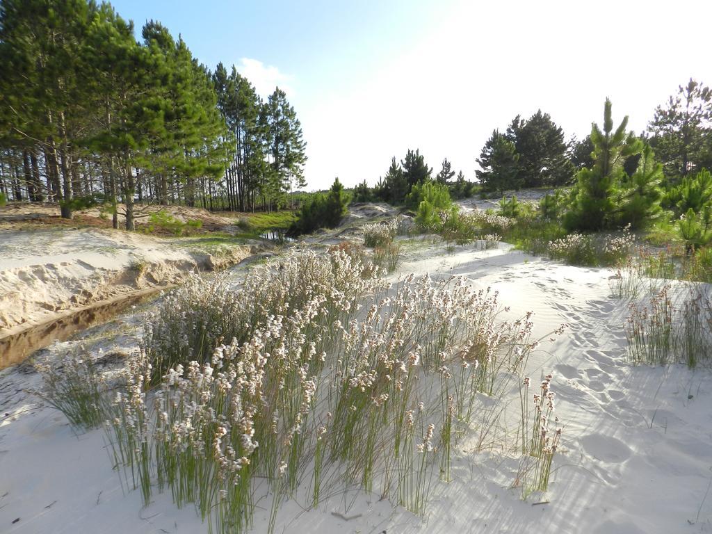 Aldeia Santuario Das Aves Tavares Exteriör bild