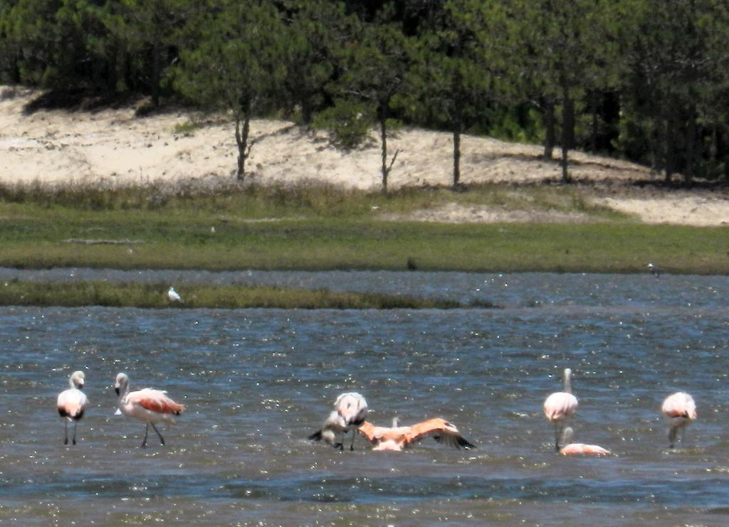 Aldeia Santuario Das Aves Tavares Exteriör bild