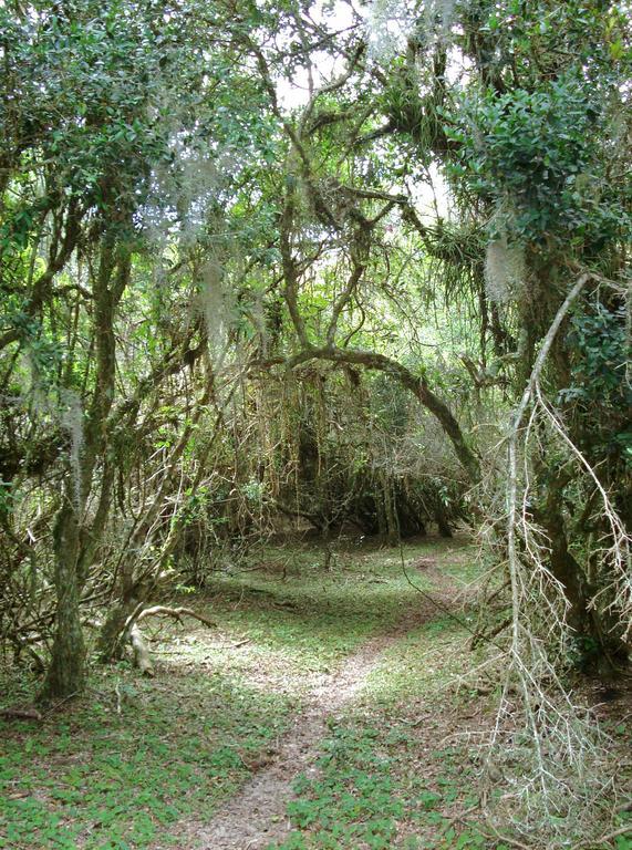 Aldeia Santuario Das Aves Tavares Exteriör bild