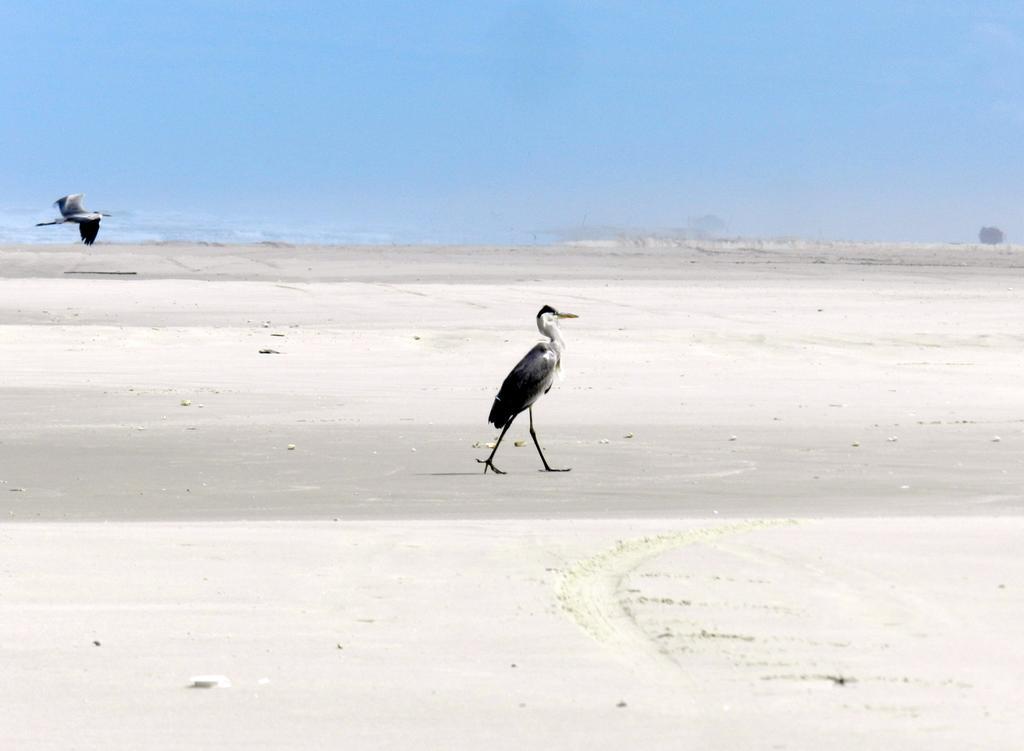 Aldeia Santuario Das Aves Tavares Exteriör bild