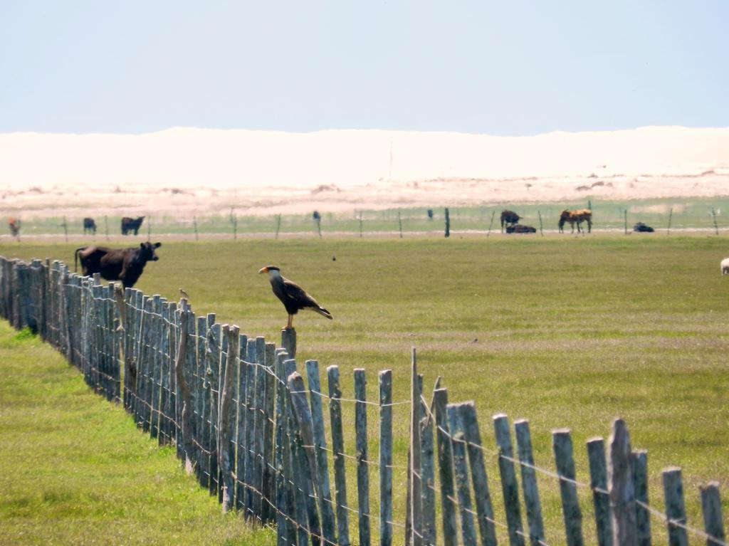 Aldeia Santuario Das Aves Tavares Exteriör bild