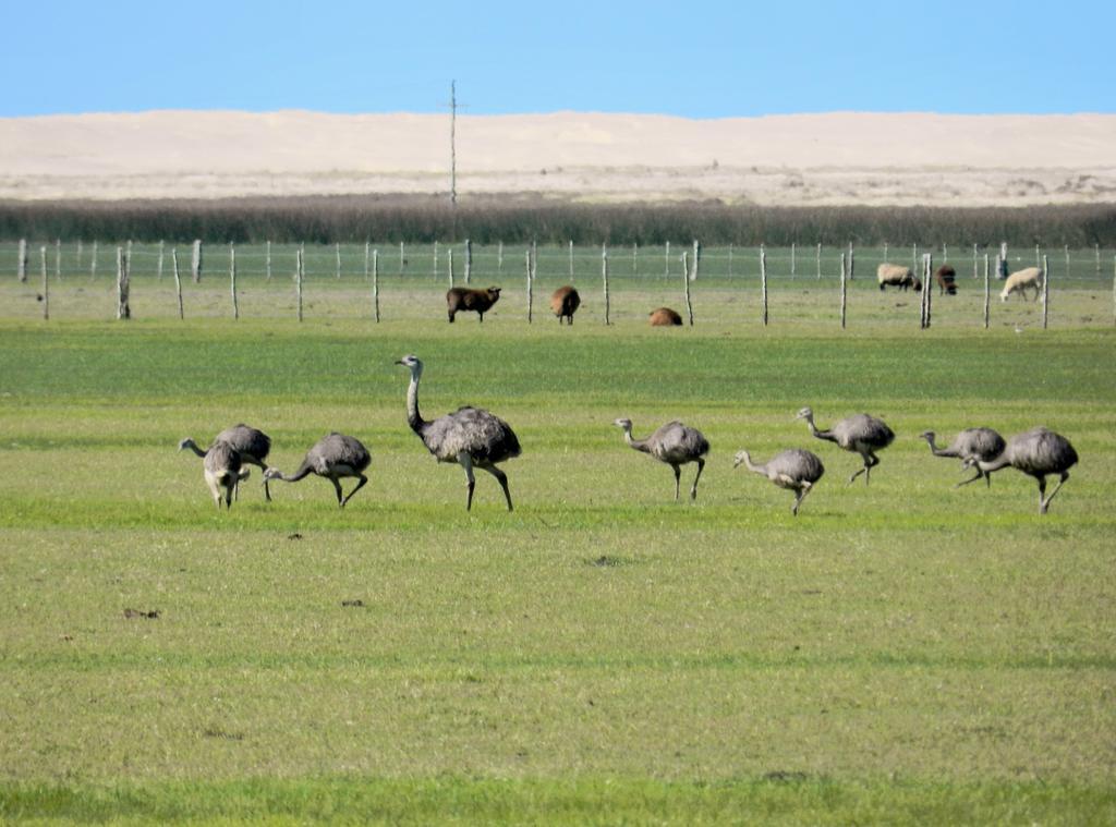 Aldeia Santuario Das Aves Tavares Exteriör bild