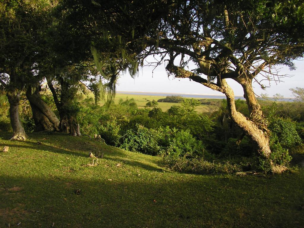 Aldeia Santuario Das Aves Tavares Exteriör bild